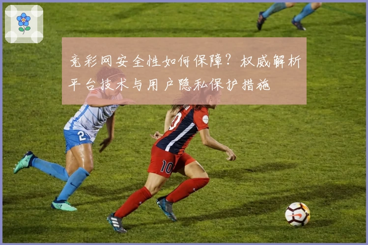 竞彩网安全性如何保障？权威解析平台技术与用户隐私保护措施